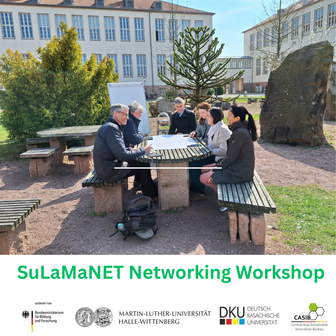 Sulamanet